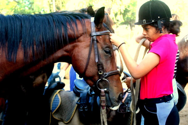 Japalouppe Equestrian Centre - Western India's Largest Horse Riding School